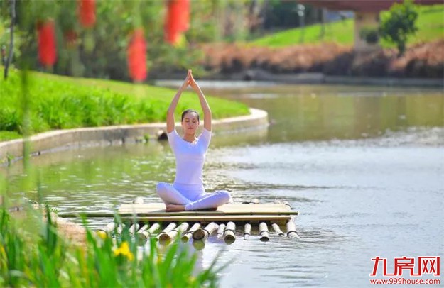 再登峰 ：千亿禹洲，精筑东岸朗廷——九房网