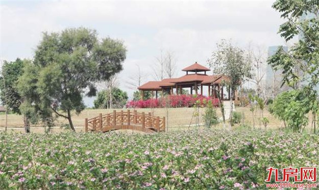 多彩园博亲子游园会明日开启 六大关卡等您来挑战——九房网