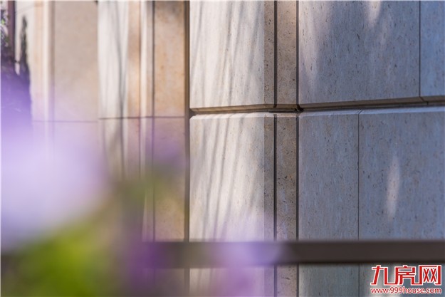 融创•东南府丨洞见价值逻辑，当红墅品载誉再启——九房网