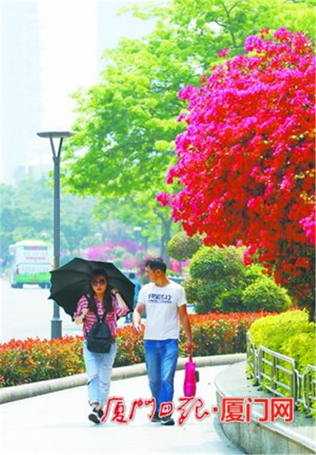 厦门房产,厦门房地产,厦门新房,九房网,厦门房产