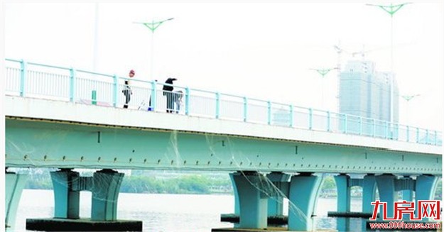 水域面积大岸线长管理难度大 杏林湾水库捕鱼电鱼没人管——九房网