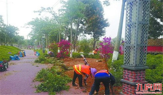 翔安大道带状公园改造提升视觉体验——九房网