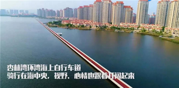 环杏林湾水上步道刷屏朋友圈 厦多条自行车道成"网红"——九房网