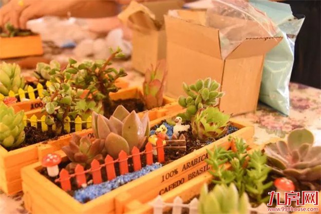 体验墅区品质生活，共话财富机遇——九房网