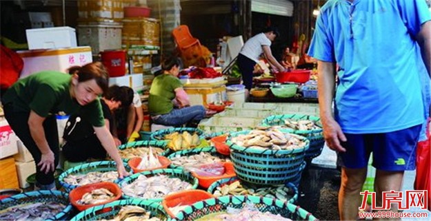 厦门开始休渔期“海钓鱼”受追捧 供应量很少且价格不菲——九房网