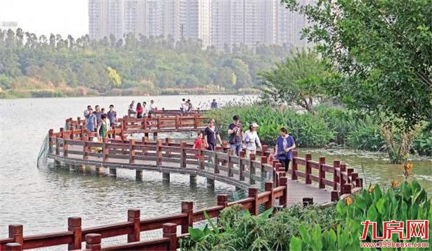 荒废避风坞变身城市"绿肺" 五缘湾湿地公园营造原生态景观——九房网