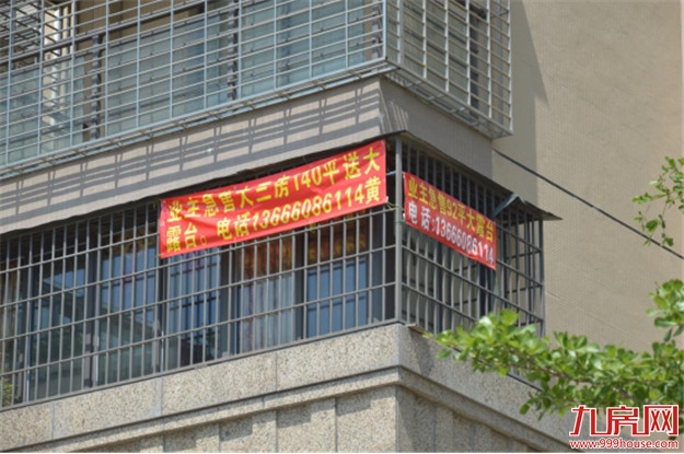 大跌5000元/㎡！笋盘中的战斗机！实探杏林桥头四盘，哪个最抗跌？——九房网