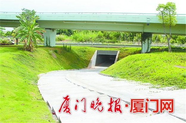 翔安大道带状公园健步道内垵互通段近日贯通——九房网