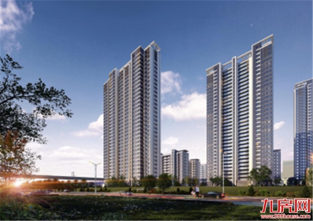 以光为引，让世界聚光厦门——九房网