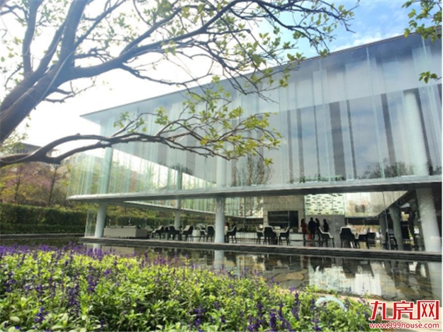 以光为引，让世界聚光厦门——九房网