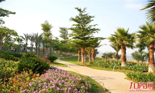 鹭岛新地标, 未来5年发展新引擎! 厦门"大湾区"超级走廊来了！——九房网