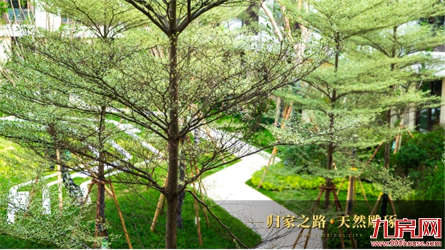 那些你不得不知道的关于成熟社区的小秘密——九房网