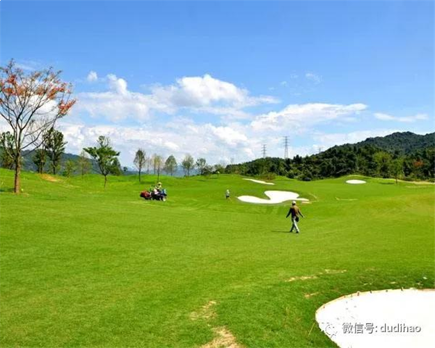 福建科鑫夺得龙岩紫金山体育公园3号宅地 楼面价4762元/㎡——九房网