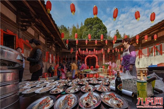 第四届永泰“李梅节”之采摘季——九房网