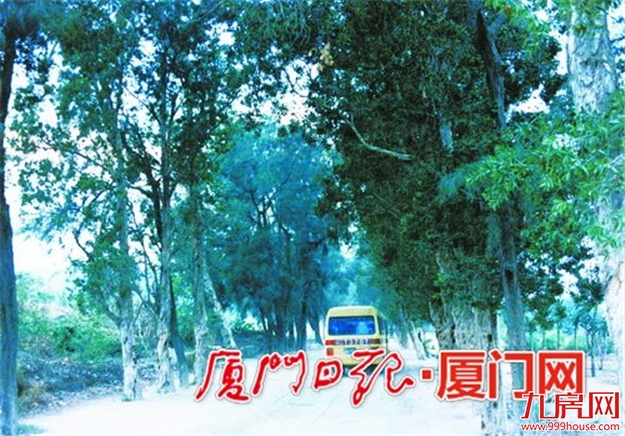 从倒“C”形变成“O”形明年初全线通车 环岛路要“环”起来了——九房网 从倒“C”形变成“O”形明年初全线通车 环岛路要“环”起来了——九房网