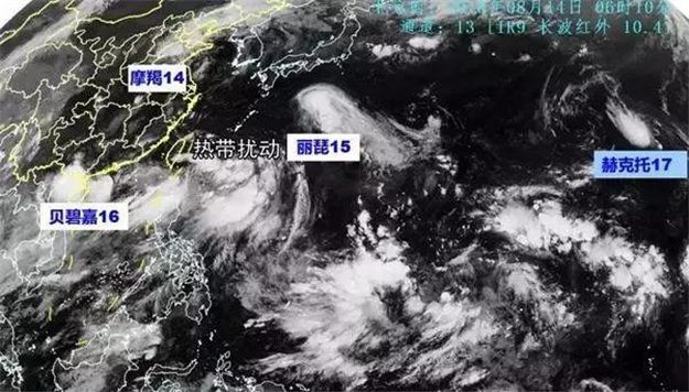 罕见!4个台风“扎堆”!10多个省强降雨，厦门将……——九房网