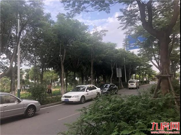 实探！熟悉的集美新城，不一样的5盘测评报告来了！——九房网