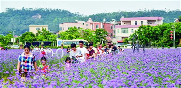 厦门今年启动601个乡村振兴项目，“三农”工作结出硕果——九房网