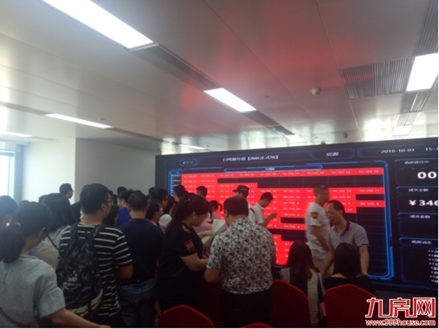 厦门再现“日光盘”: 206套房源！800人哄抢！5分钟内售罄！——九房网