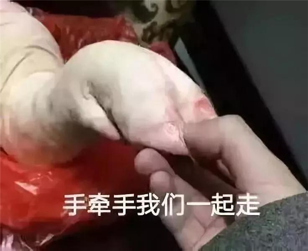 大降温!冷空气半夜携大雨杀到厦门!网友齐呼：终于可以脱单了!——九房网