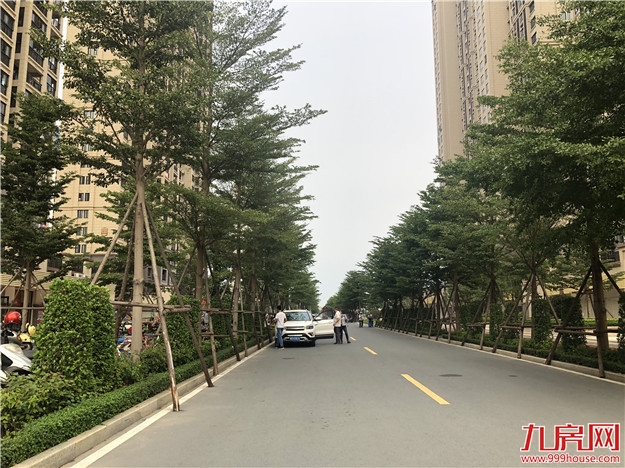 实探！翔安热盘最新进度曝光！精装2.6万/㎡起，刚需看过来！——九房网