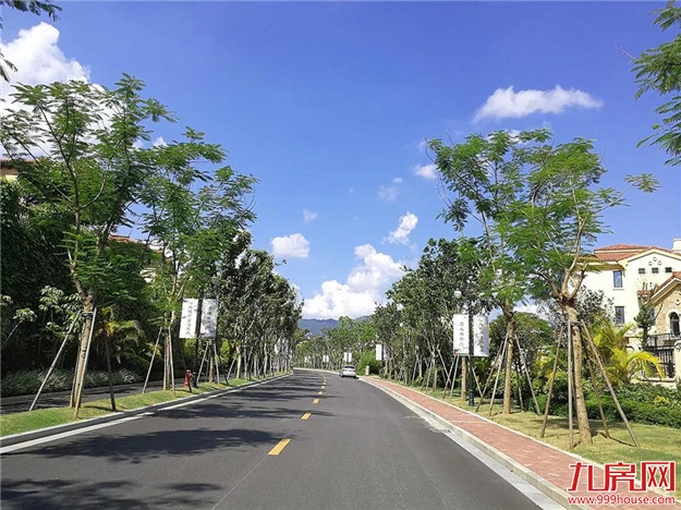 风雅颂丨寻找诗与远方，归居桃李春风——九房网