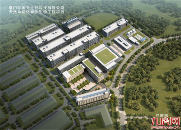 厦门房产,厦门房地产,厦门新房,九房网,厦门房产