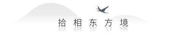 当曾凤飞遇见桃李春风丨似是故人归——九房网