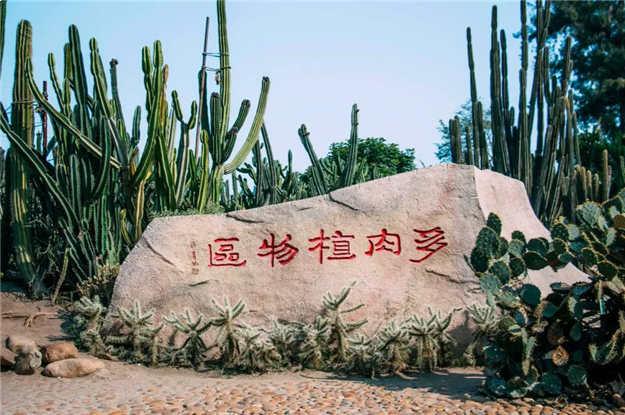 最新！这项世界排名，厦门全球第二！Wuli厦门又火了！——九房网
