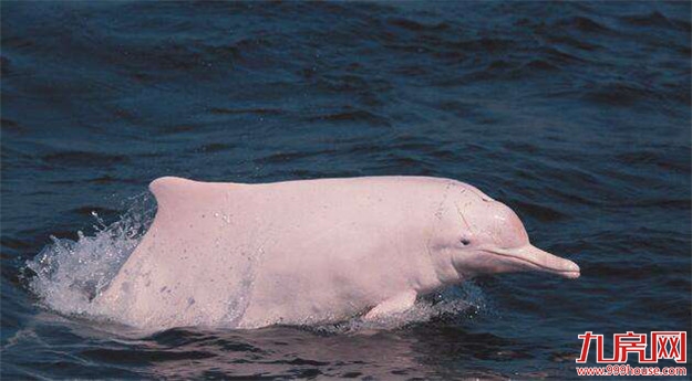 住在这里的人有福了！环东又迎重磅交通利好.....——九房网