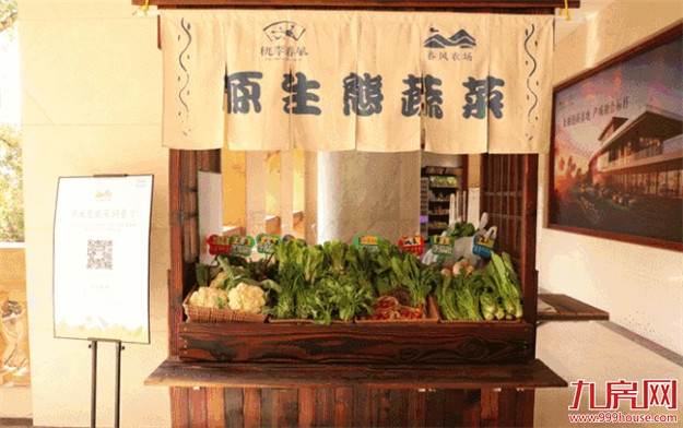 小镇中国年| 闽南年味市集来啦，来小镇过一个年味十足的春节！——九房网