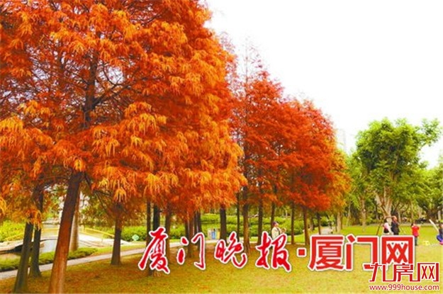 “还园 还绿于民” 南湖公园西园区建设纳入今年计划——九房网