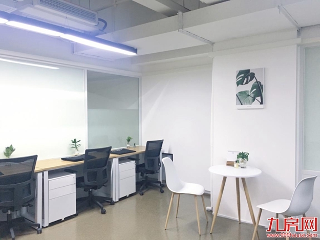 绿色办公体验——厦门上班族的春天——九房网
