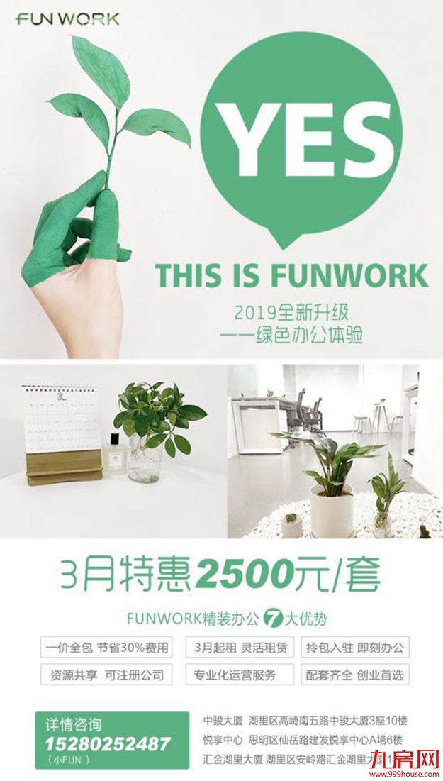 绿色办公体验——厦门上班族的春天——九房网