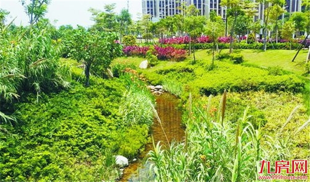 厦积极创建国家海绵城市示范市 提升城市承载力宜居度——九房网