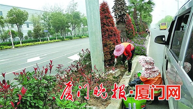 厦门房产,厦门房地产,厦门新房,九房网,厦门房产