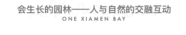 重磅!大湾区时代,厦门被委以重任!这个区将全面爆发!——九房网 重磅!大湾区时代,厦门被委以重任!这个区将全面爆发!——九房网