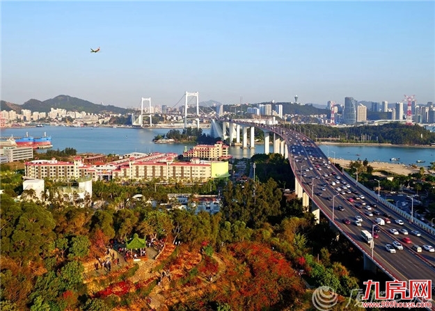 市委书记重要讲话！人才引进、土地开发、新城建设传来新消息！——九房网