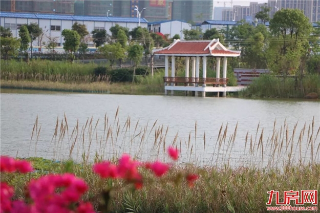 超赞！厦门新增一个水系公园！预计本月中旬正式开放——九房网