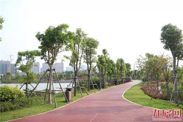 超赞！厦门新增一个水系公园！预计本月中旬正式开放——九房网