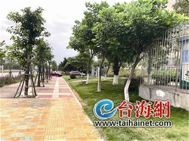 集美将改造和新增41个公园 人均绿地面积全市最高——九房网 集美将改造和新增41个公园 人均绿地面积全市最高——九房网