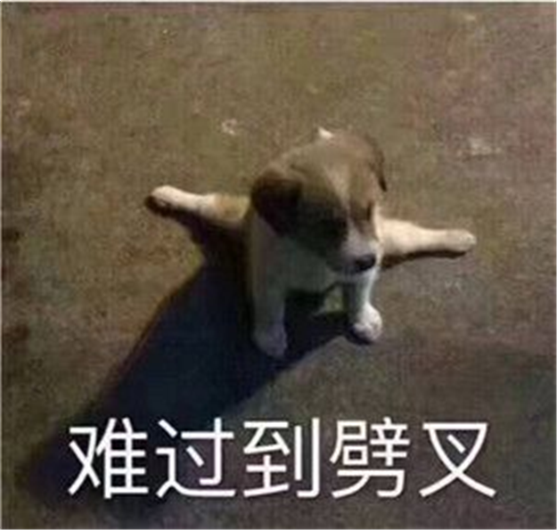 喜大普奔！4536套房源！厦保障房地铁社区再传新消息！还有这些项目......——九房网