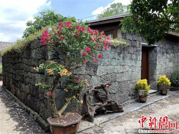 海南：未经批准不得新建乡村民宿，严禁变相发展房地产——九房网