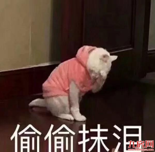 厦门房产,厦门房地产,厦门新房,九房网,厦门房产