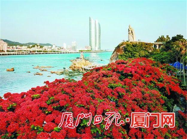 厦门房产,厦门房地产,厦门新房,九房网,厦门房产