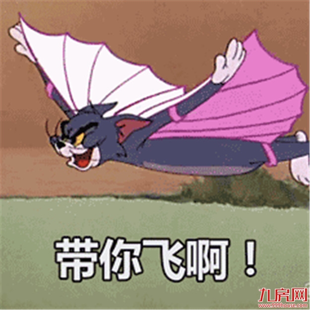 最新最全！厦门121大地铁盘房价曝光！最低1.8万/㎡起！——九房网