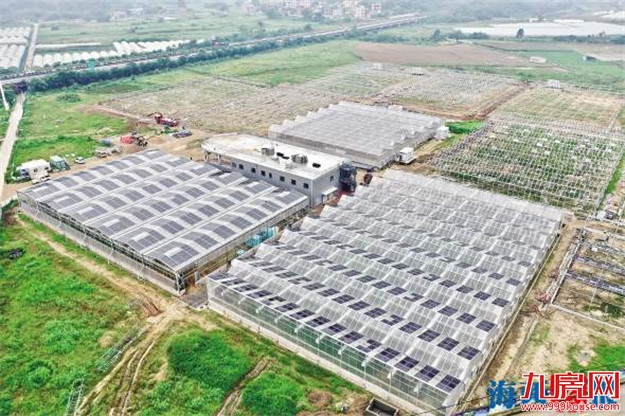 打造厦门菜篮子基地 闽首个农光旅融合项目落户同安——九房网