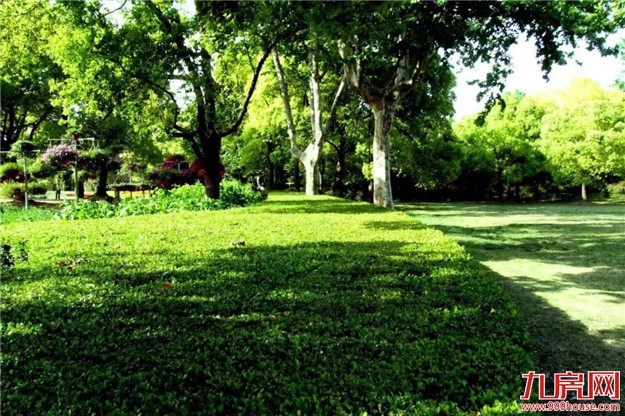 聚力共赢，掘金厦门西——大唐世家三明分销大会璀璨落幕！——九房网