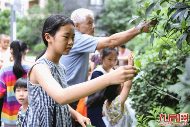 前方高萌！美好童行系列故事，正在发生——九房网