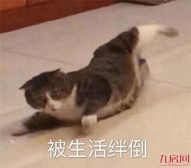在厦门，那些挣扎在温饱线上的百万富翁们！——九房网